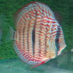 ceci est un test (en)