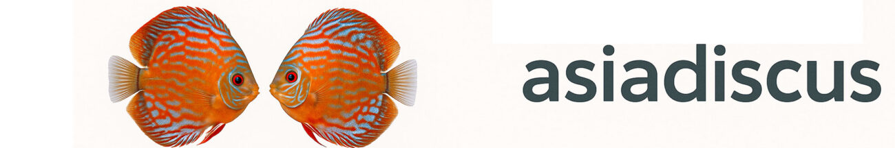 Accueil - Asia Discus