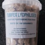 Tubifex lyophilisés