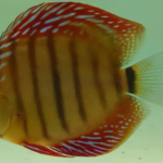 produits test nouveau site (en)